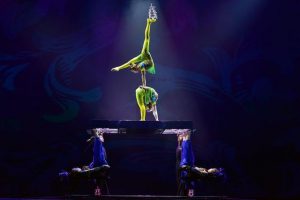 新蔡县获称“河南省杂技之乡”