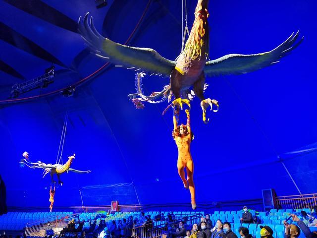 周口杂技文化产业园正式开园！