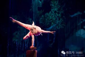 杂技剧《百鸟衣》