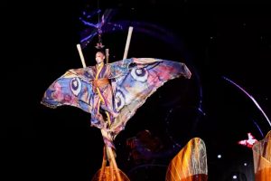 2022年技惊四座杂技吊发《破茧》