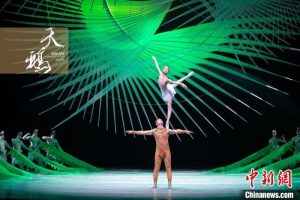 杂技剧《天鹅》广州首演，奏响新时代舞台艺术之声