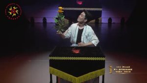 第十一届中国杂技金菊奖全国魔术比赛《仙豆》